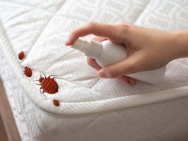 Best Flea Control Services  in University Park, IL